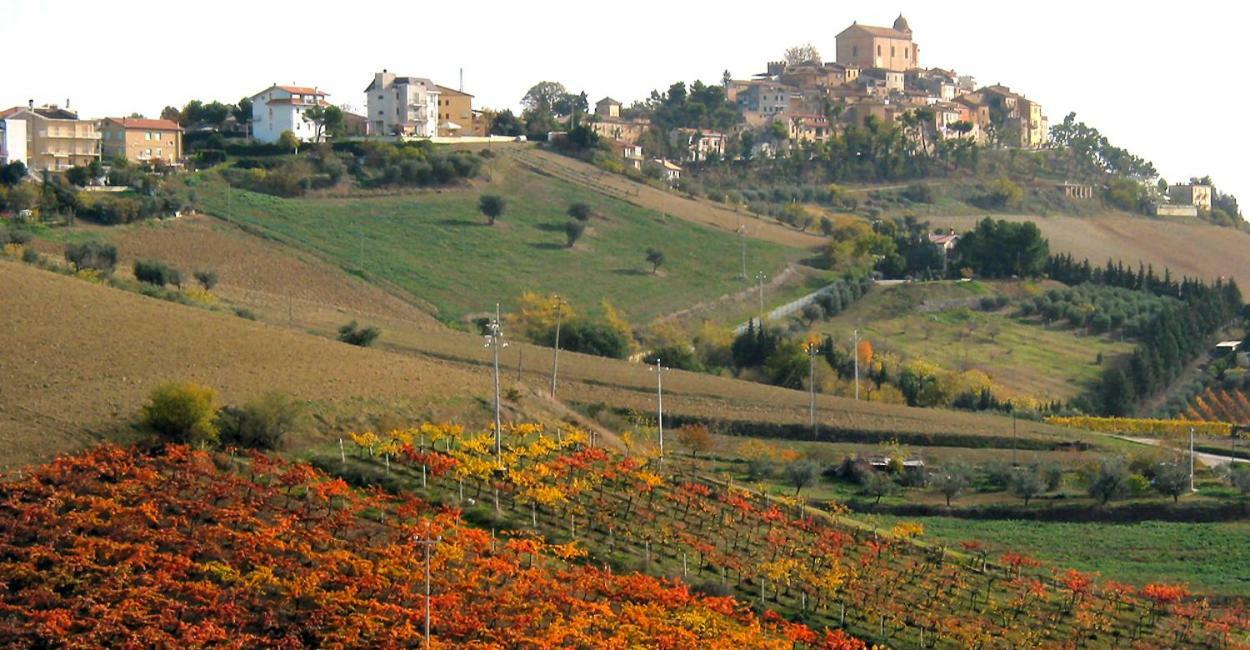 Gli Orti Di San Giacomo Acomodação com café da manhã Monteprandone Exterior foto